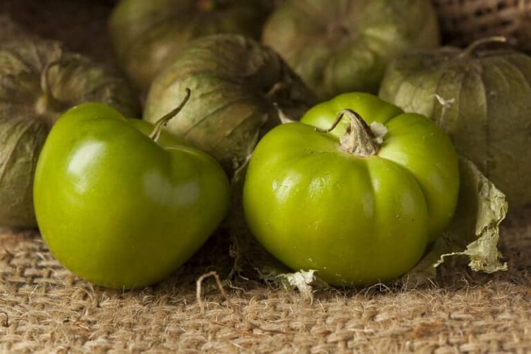 9 mejores sustitutos del tomatillo NewFoodHub