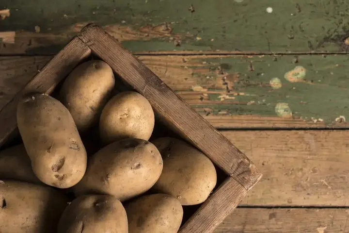 Patatas Russet