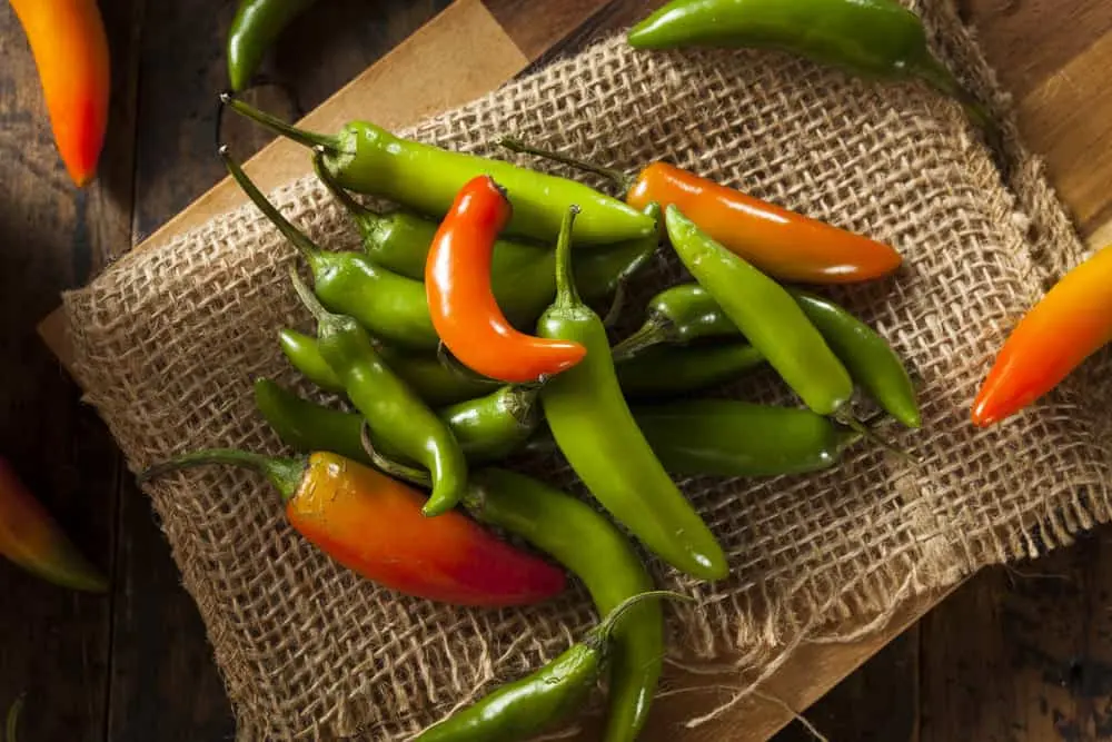 pimientos serranos 2