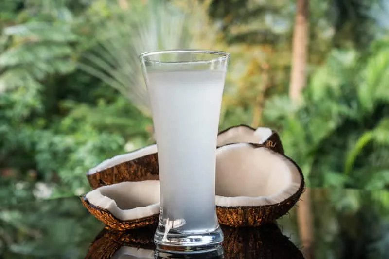 agua de coco 2