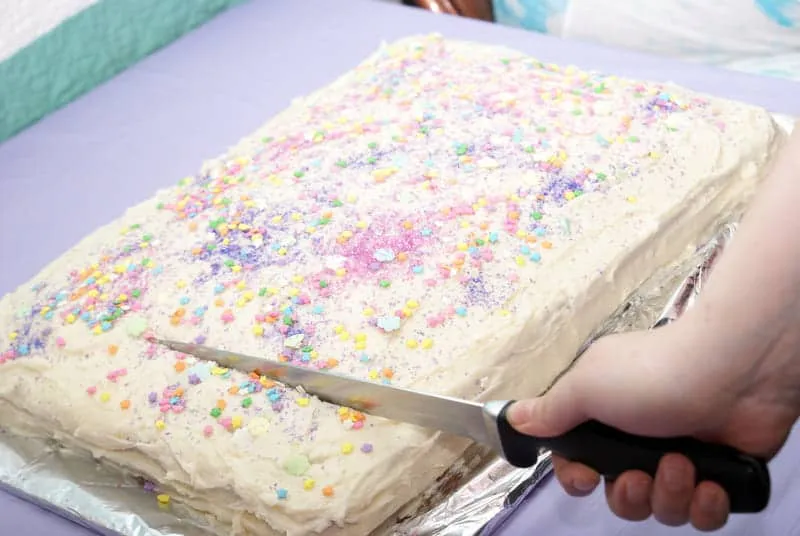 pastel de media plancha
